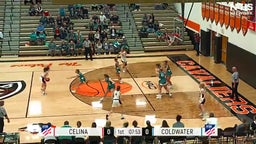Riley Rismiller's highlights Celina High School