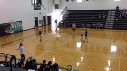 Madison volleyball highlights St. Francis