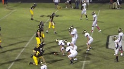 Cayuga football highlights Dawson High School