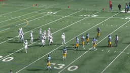 Ferris football highlights Marist High School