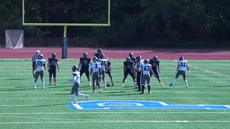 The Pingry School football highlights Poly Prep Country Day School