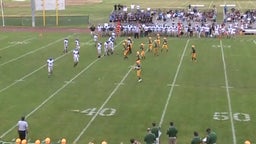 Elk Grove football highlights vs. St. Charles North