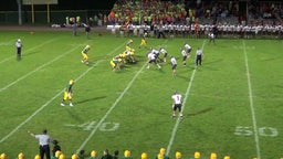 Elk Grove football highlights vs. Palatine High School