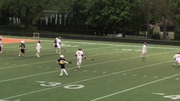 Vernon lacrosse highlights Hackettstown