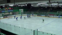 Minnetonka girls ice hockey highlights Edina High School
