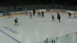 Edina (MN) Girls Ice Hockey highlights vs. Roseville