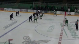 Edina (MN) Girls Ice Hockey highlights vs. Buffalo High School