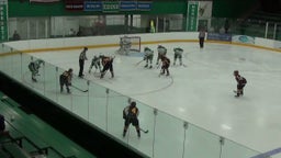 Edina (MN) Girls Ice Hockey highlights vs. Irondale High School