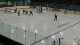 Edina (MN) Girls Ice Hockey highlights vs. Apple Valley HS