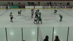 Edina (MN) Girls Ice Hockey highlights vs. Eden Prairie High