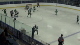Edina (MN) Girls Ice Hockey highlights vs. Hill-Murray High