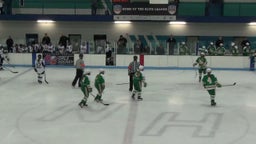 Edina (MN) Girls Ice Hockey highlights vs. armstrong