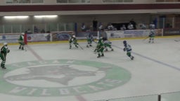 Edina (MN) Girls Ice Hockey highlights vs. Eagan