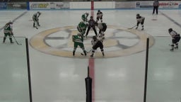 Edina (MN) Girls Ice Hockey highlights vs. Burnsville
