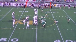 Walsh Jesuit football highlights vs. St. Vincent-St. Mary