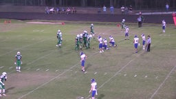 Danville football highlights Hector High School