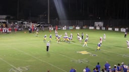Newberry football highlights Williston High School