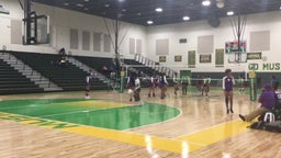 Parker volleyball highlights Jackson-Olin