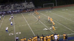 Walled Lake Central football highlights Salem High School