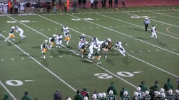 Notre Dame football highlights vs. Aquinas High School 