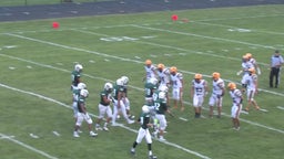 Allen Park football highlights vs. Trenton High School