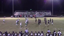 Wayne County football highlights Houston County