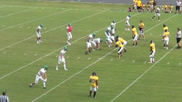 Adam Caudle's highlights Pre-Season Scrimmages