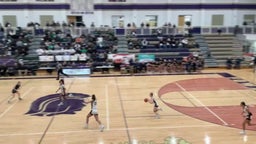 Haslett girls basketball highlights Williamston