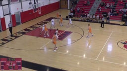 Dansville basketball highlights Livonia High School