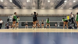 Pasadena volleyball highlights Hargrave
