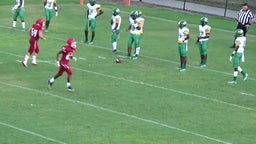 Wade Hampton football highlights C.A. Johnson High School