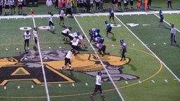 Madison football highlights Summerfield High School