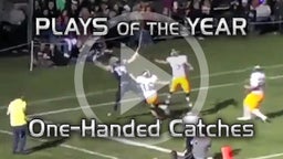 Top 5 One-Handed Catches 2015