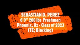 Sebastian D. Perez (TE; Blocking)