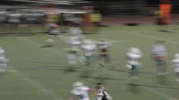 Jovon Nelson Catches a 30 yard pass