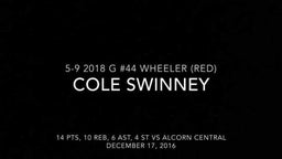 Cole Swinney Highlights vs Alcorn Central