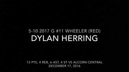 Dylan Herring Highlights vs Alcorn Central