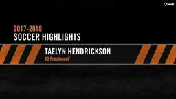 Taelyn Hendrickson 2017 Highlights