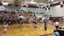 Isabella Choice 2017 #11/2020/Middle