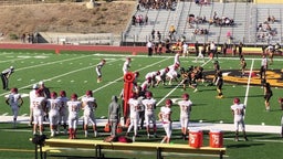 JV - Terra Nova Game