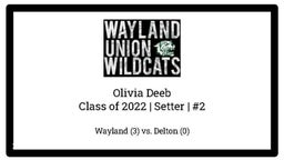 Wayland vs. Delton Highlights