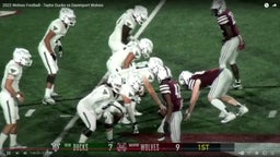 Anthony Cottrill Highlights Against Davenport