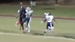 Insane one-handed touchdown grab