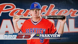 Parkview (GA) Baseball - Preseason Rankings