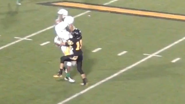 Receiver catches pass on the back of defender then runs 83-yards for the touchdown.