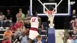 Zion Williamson's top plays from the playoffs