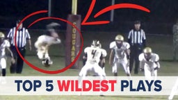Top 5 Wildest Plays of the Year