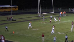 Epic one-handed touchdown