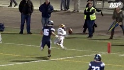 Game-winning one-handed TD catch