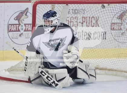 Thumbnail 1 in Cactus Shadows vs Mesquite (AHSHA Quarter Final) photogallery.